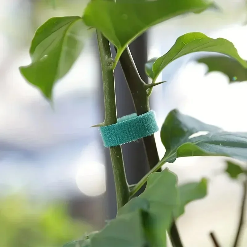 Self Adhesive Plant Nylon Cabl - Gear Tie Reusable review and price