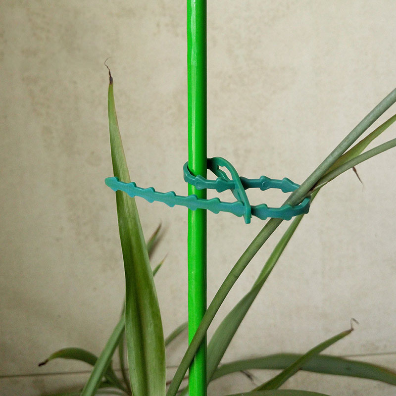 50/100Pcs Reusable Garden Cabl - Gear Tie Reusable review and price